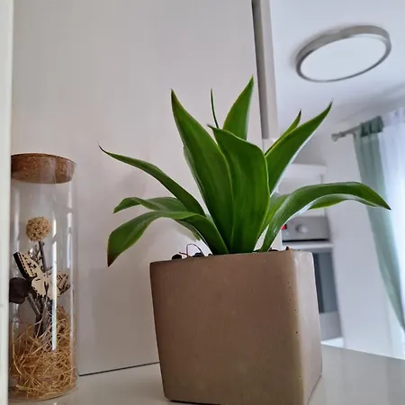 홀리데이파크 Hiska Ela 109